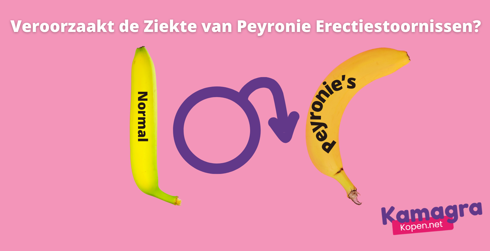 De ziekte van Peyronie die erectiestoornissen veroorzaakt